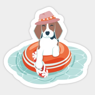 Summer pool pawty // aqua background beagle dog breed in vacation playing on swimming pool Sticker